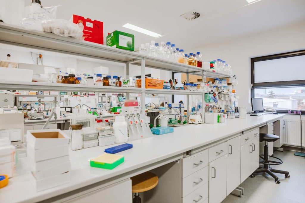 lab